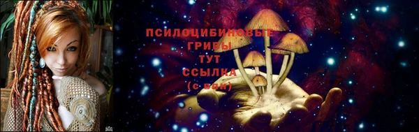 прущий лед Рославль