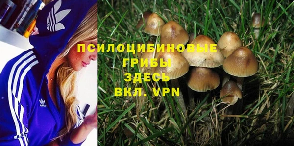 дурь Абаза