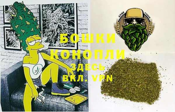 ГАЛЛЮЦИНОГЕННЫЕ ГРИБЫ Алзамай