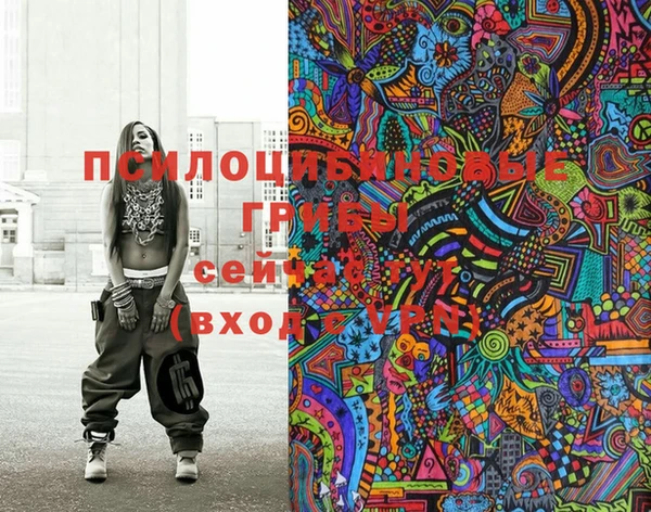 индика Абдулино