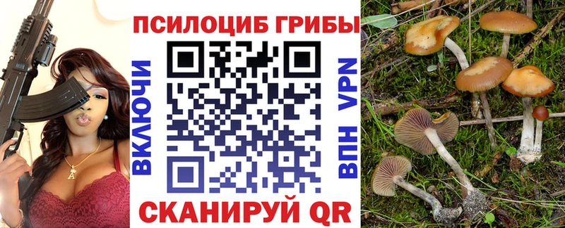 Галлюциногенные грибы Cubensis  мориарти официальный сайт  Каменск-Шахтинский 